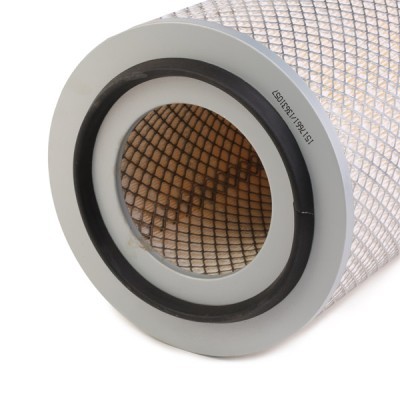 Air Filter RIDEX 8A0601 8A0601 - photo 5