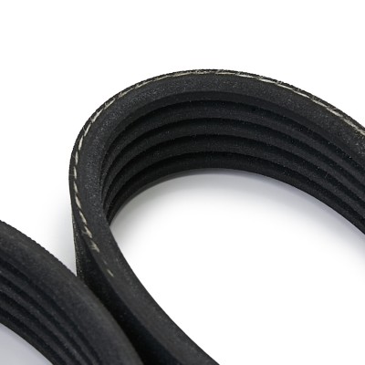 V-Ribbed Belt RIDEX 305P0503 305P0503 - photo 5