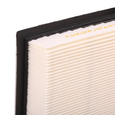 Air Filter RIDEX 8A0259 8A0259 - photo 6
