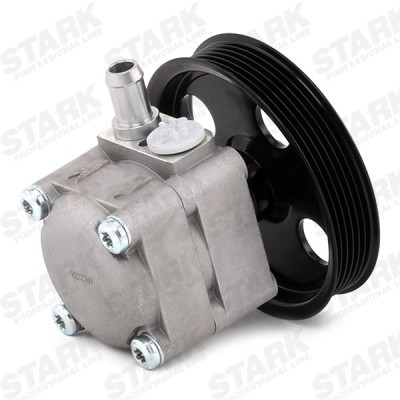 Hydraulic Pump, Steering System Stark SKHP-0540114 SKHP-0540114 - photo 4