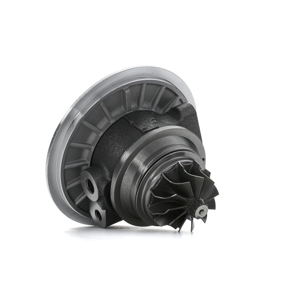 Turbo cartridge (core) RIDEX 4973C0192 4973C0192 - photo 1