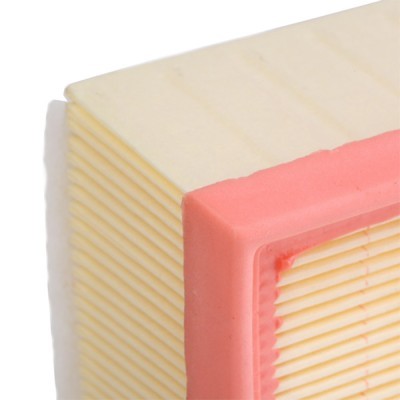 Air Filter RIDEX 8A0155 8A0155 - photo 6