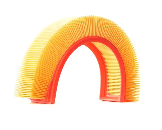 Air Filter RIDEX 8A0123 8A0123 - photo 1