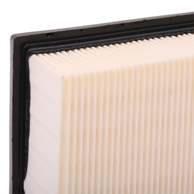 Air Filter RIDEX 8A0108 8A0108 - photo 6