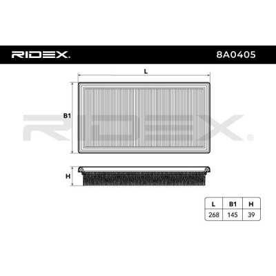 Air Filter RIDEX 8A0405 8A0405 - photo 6