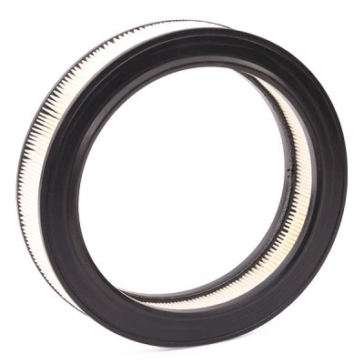 Air Filter RIDEX 8A0203 8A0203 - photo 4