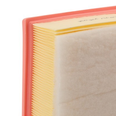 Air Filter RIDEX 8A0668 8A0668 - photo 5