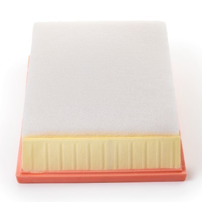 Air Filter RIDEX 8A0998P 8A0998P - photo 5
