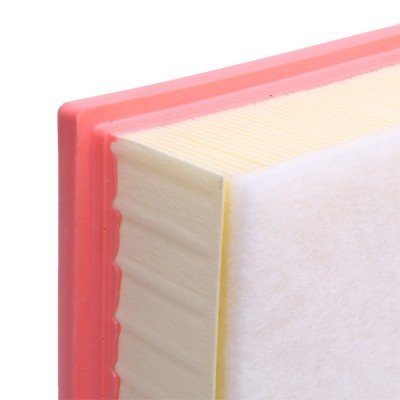Air Filter RIDEX 8A0874 8A0874 - photo 5