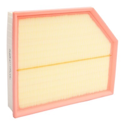 Air Filter RIDEX 8A0836 8A0836 - photo 3