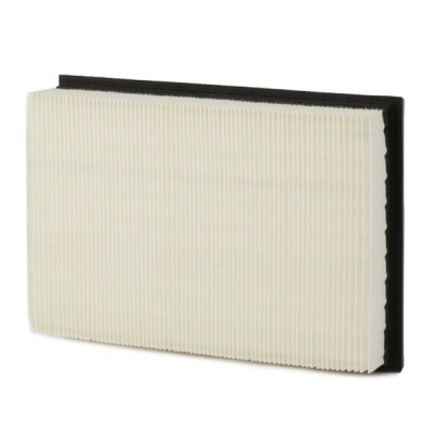Air Filter RIDEX 8A0153 8A0153 - photo 6