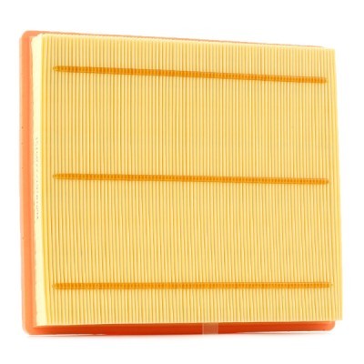 Air Filter RIDEX 8A0965 8A0965 - photo 6