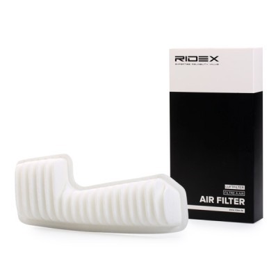 Air Filter RIDEX 8A0343 8A0343 - photo 1