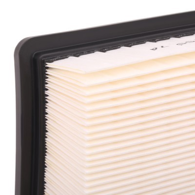 Air Filter RIDEX 8A0280 8A0280 - photo 6
