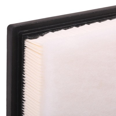 Air Filter RIDEX 8A0117 8A0117 - photo 6
