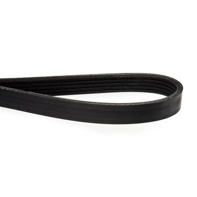 V-Ribbed Belt RIDEX 305P0041 305P0041 - photo 5