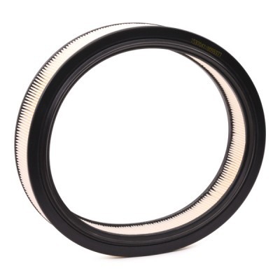 Air Filter RIDEX 8A0303 8A0303 - photo 3