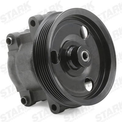 Hydraulic Pump, Steering System Stark SKHP-0540083 SKHP-0540083 - photo 6