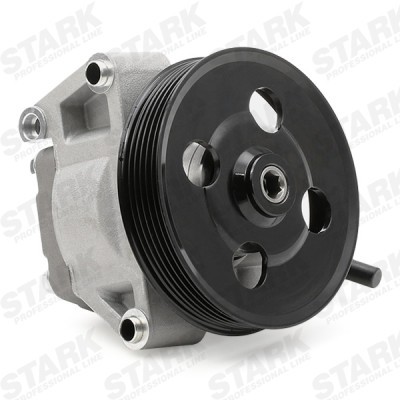 Hydraulic Pump, Steering System Stark SKHP-0540126 SKHP-0540126 - photo 6