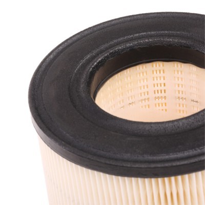 Air Filter RIDEX 8A0146 8A0146 - photo 6