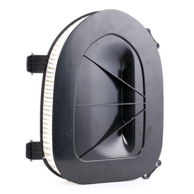 Air Filter RIDEX 8A0276 8A0276 - photo 3