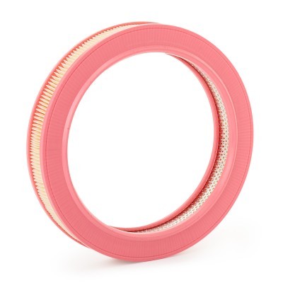 Air Filter RIDEX 8A0683 8A0683 - photo 5
