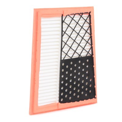 Air Filter RIDEX 8A0643 8A0643 - photo 3
