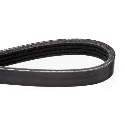 V-Ribbed Belt RIDEX 305P0351 305P0351 - photo 5