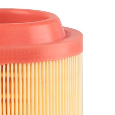Air Filter RIDEX 8A0031 8A0031 - photo 5