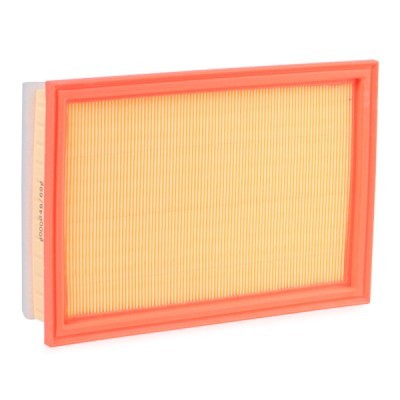 Air Filter RIDEX 8A0019 8A0019 - photo 3