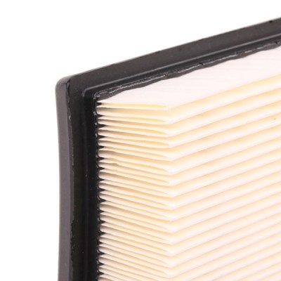 Air Filter RIDEX 8A0063 8A0063 - photo 4