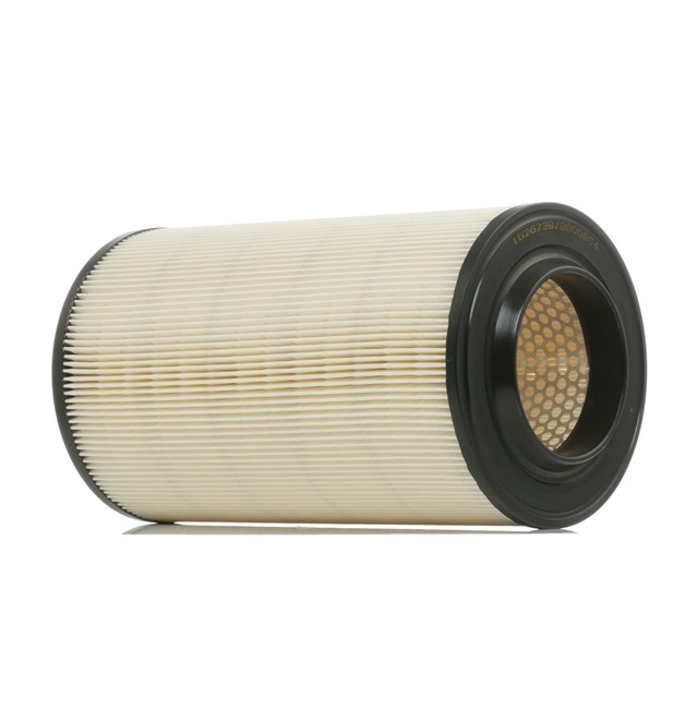 Air Filter RIDEX 8A0099 8A0099 - photo 1