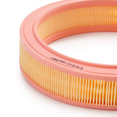 Air Filter RIDEX 8A0972 8A0972 - photo 5