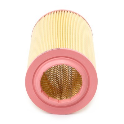 Air Filter RIDEX 8A0099P 8A0099P - photo 4