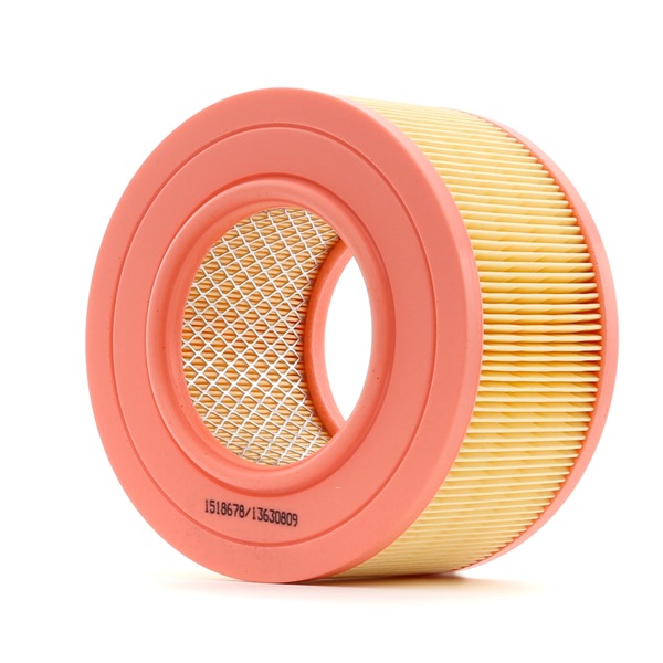 Air Filter RIDEX 8A0542 8A0542 - photo 1