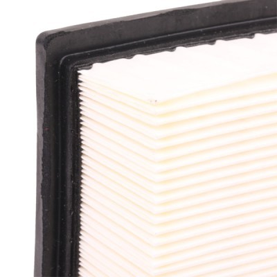 Air Filter RIDEX 8A0059 8A0059 - photo 6