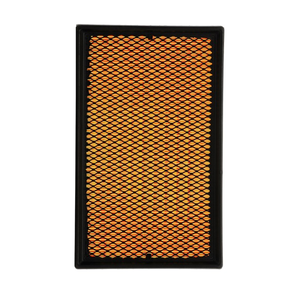 Air Filter RIDEX 8A0065P 8A0065P - photo 1