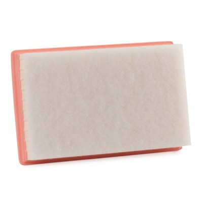 Air Filter RIDEX 8A0636 8A0636 - photo 4