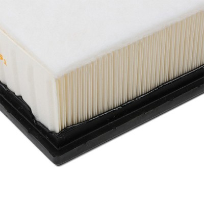 Air Filter RIDEX 8A0254 8A0254 - photo 5