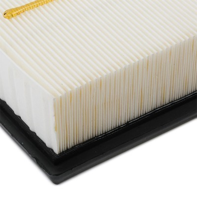 Air Filter RIDEX 8A0381 8A0381 - photo 6