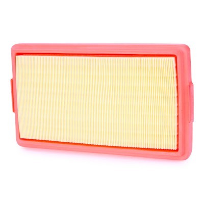 Air Filter RIDEX 8A0379 8A0379 - photo 3