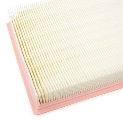 Air Filter RIDEX 8A0270 8A0270 - photo 8