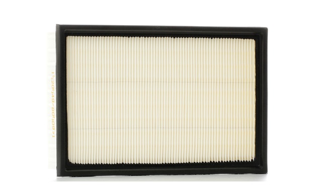 Air Filter RIDEX 8A0153 8A0153 - photo 1