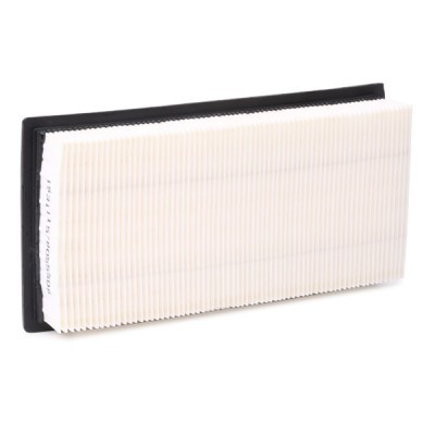 Air Filter RIDEX 8A0360 8A0360 - photo 4