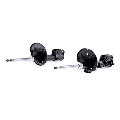 Shock Absorber RIDEX 854S2040 854S2040 - photo 3