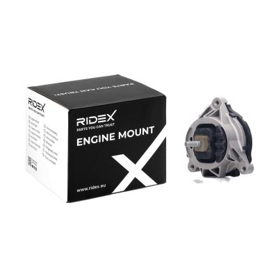Engine Mounting RIDEX 247E0668 247E0668 - photo 2