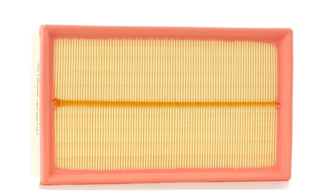 Air Filter RIDEX 8A0233 8A0233 - photo 1