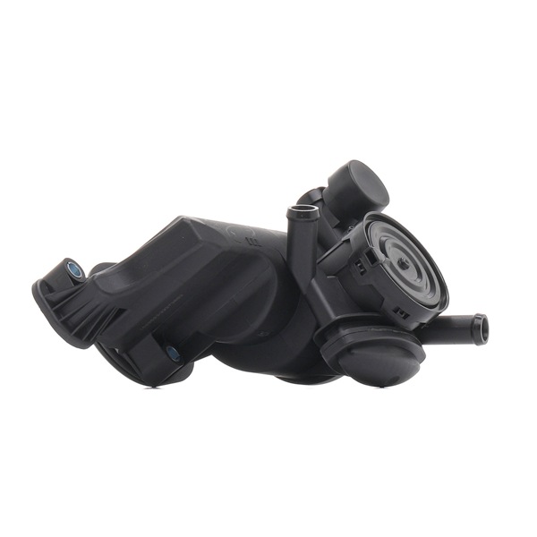Crankcase Ventilation (PCV) Valve RIDEX 3886V0174 3886V0174 - photo 1