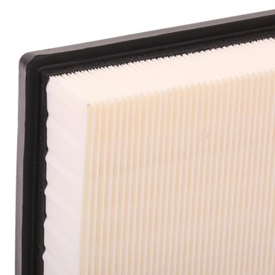 Air Filter RIDEX 8A0125 8A0125 - photo 6