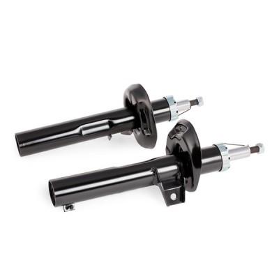 Shock Absorber RIDEX 854S1731 854S1731 - photo 9